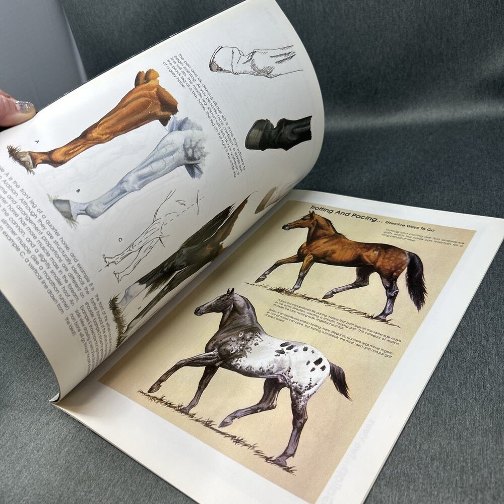 Horses Walter Foster Learn to Paint Step by Step Oil Painting Art Guide HT228 - Picture 4 of 8